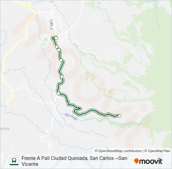 CIUDAD QUESADA - SAN VICENTE Bus Line Map