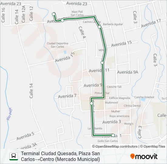 CIUDAD QUESADA - TERMINAL PLAZA SAN CARLOS Bus Line Map