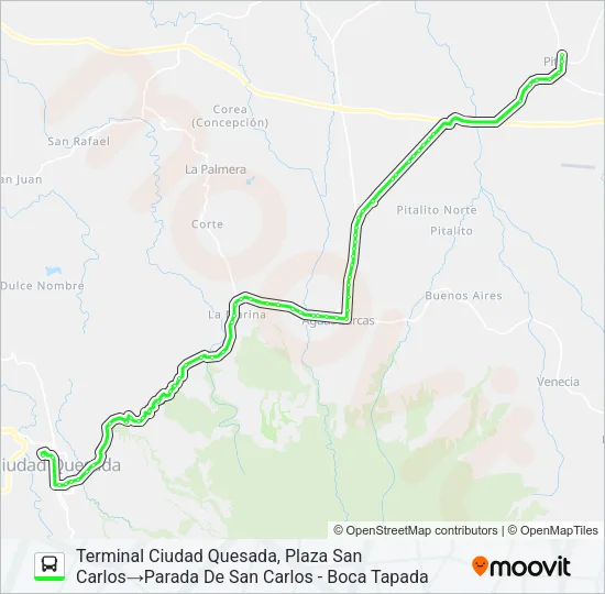 CIUDAD QUESADA - PITAL Bus Line Map