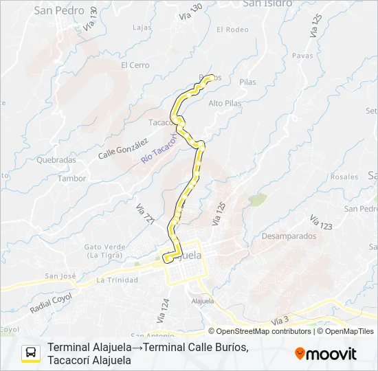 ALAJUELA - TACACORÍ - CALLE BURIOS Bus Line Map