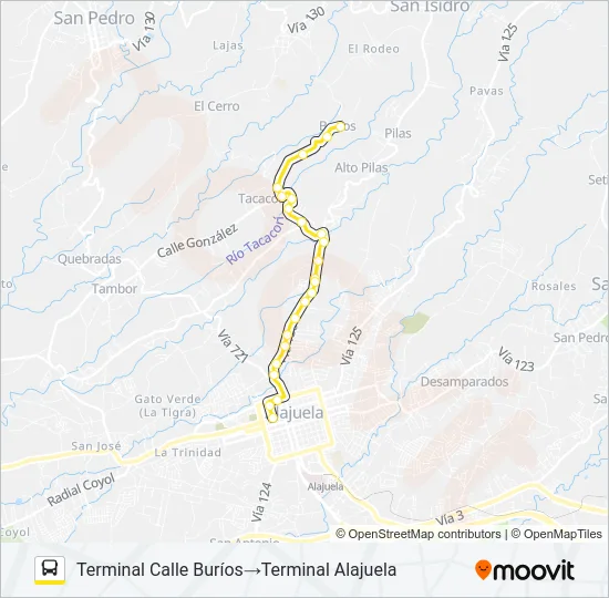 ALAJUELA - TACACORÍ - CALLE BURIOS Bus Line Map