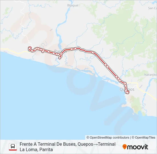 QUEPOS - PARRITA - LA LOMA Bus Line Map