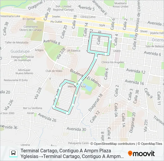 CARTAGO - RESID. LOS MOLINOS Bus Line Map