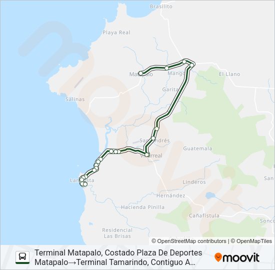 Mapa de TAMARINDO - MATAPALO de autobús