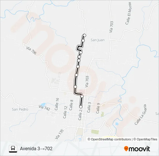 SAN RAMON - CALLE ANGELES - SAN JUAN Bus Line Map
