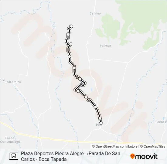 EXT PITAL - PIEDRA ALEGRE Bus Line Map