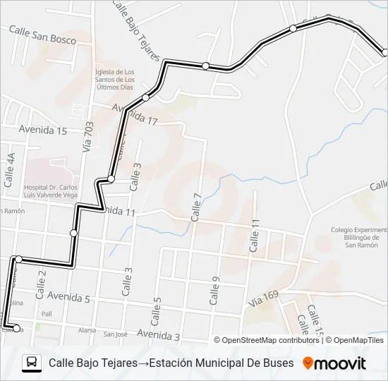 SAN RAMON - ASILO ANCIANOS - BAJO EL TEJAR Bus Line Map