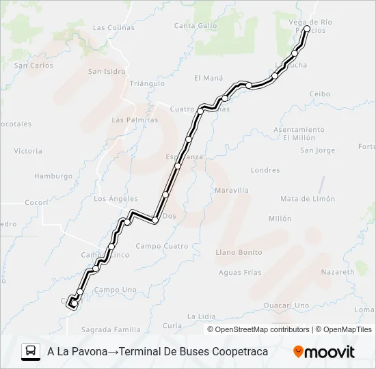 CARIARI - PALACIOS Bus Line Map
