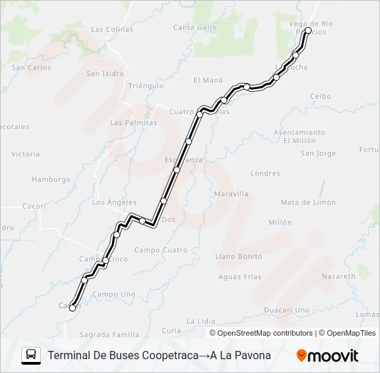 CARIARI - PALACIOS Bus Line Map