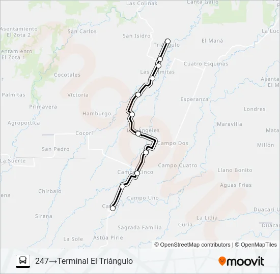 CARIARI - EL TRIANGULO Bus Line Map