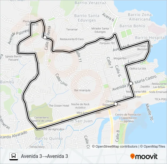 LIMON - PACUARE NUEVO POR EL COLEGIO  Line Map