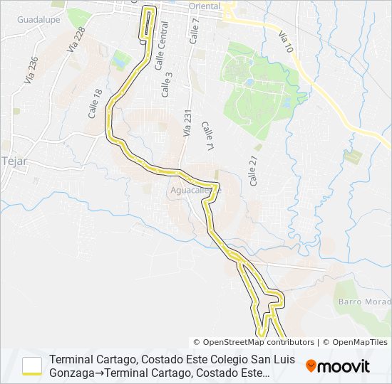 CARTAGO - LOURDES bus Line Map