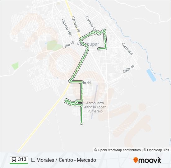 313 bus Line Map