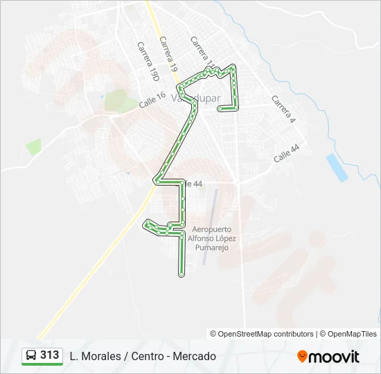 313 Bus Line Map