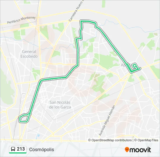 213 Bus Line Map