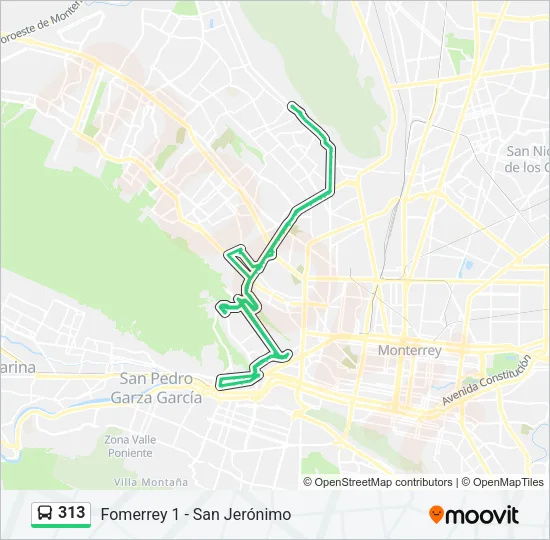 313 Bus Line Map