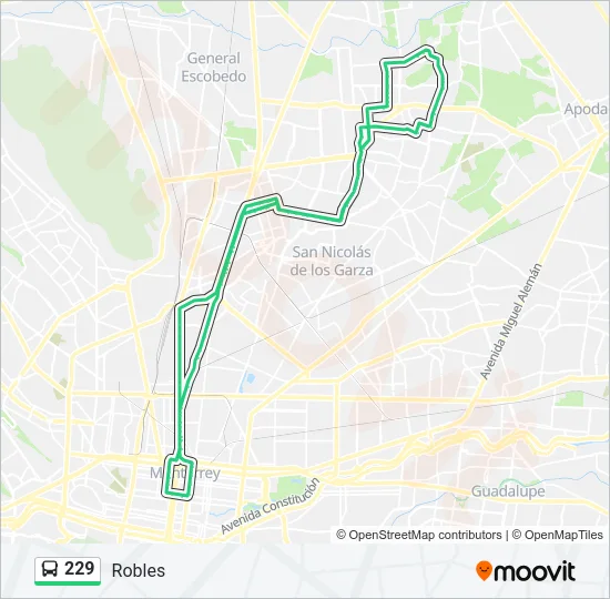 229 Bus Line Map
