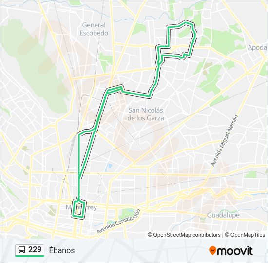 Mapa de 229 de autobús