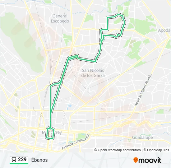 229 Bus Line Map