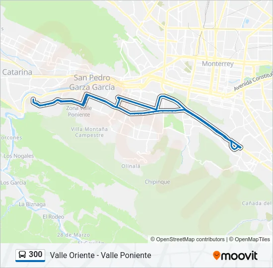 300 Bus Line Map