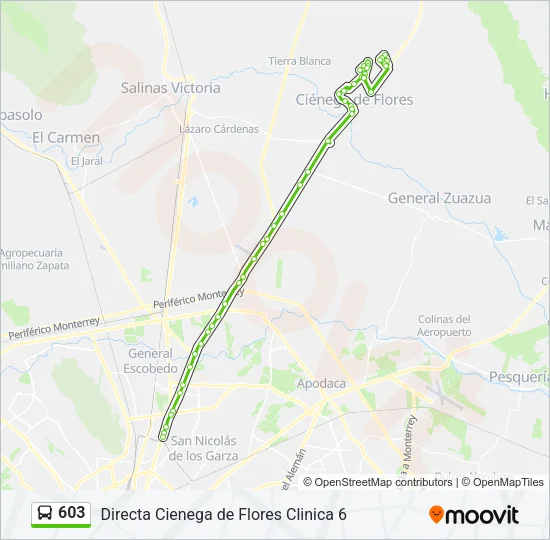 603 Bus Line Map
