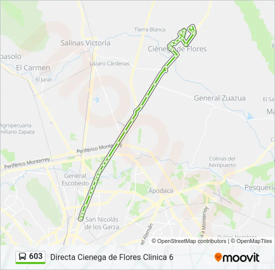 603 Bus Line Map