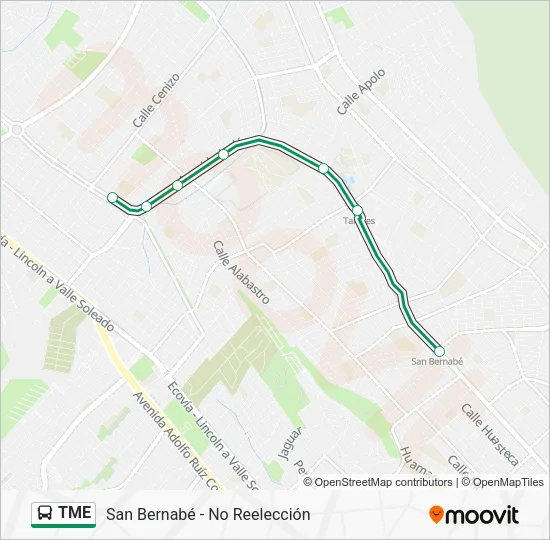 TME Bus Line Map