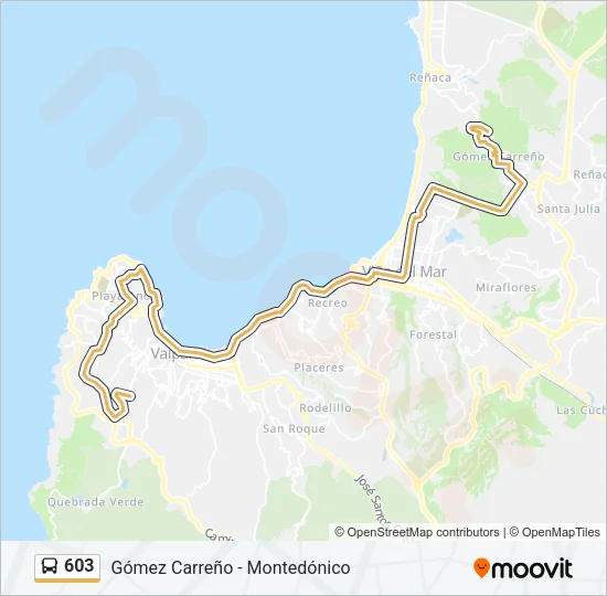 603 Bus Line Map