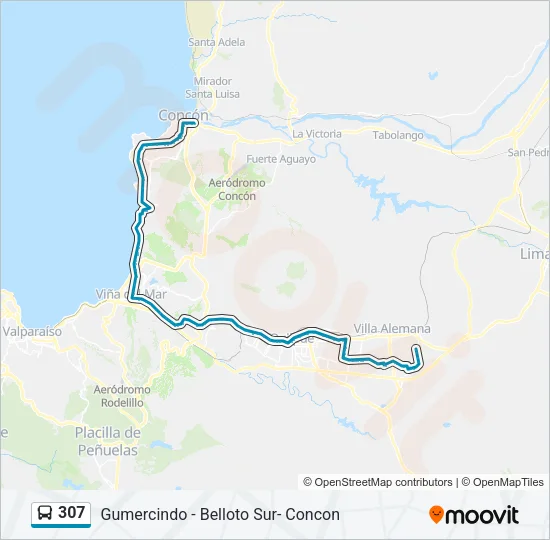 307 Bus Line Map