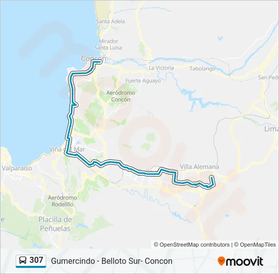 307 Bus Line Map