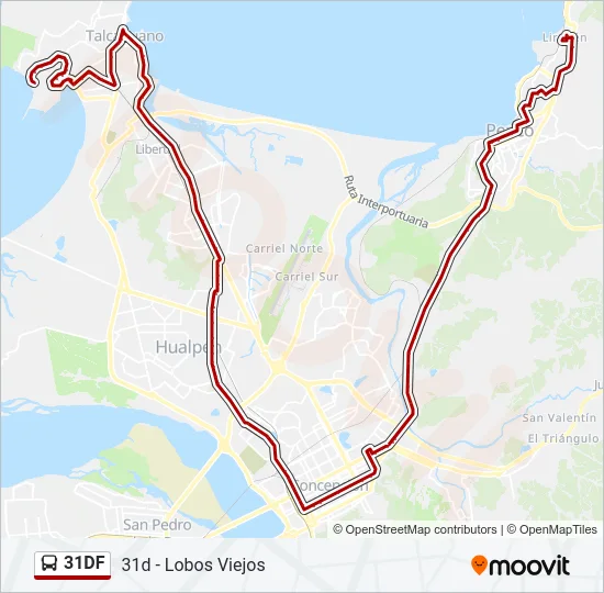 31DF Bus Line Map