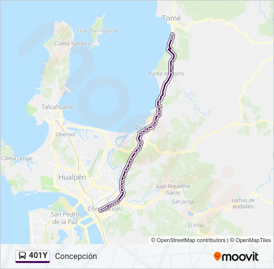 401Y Bus Line Map