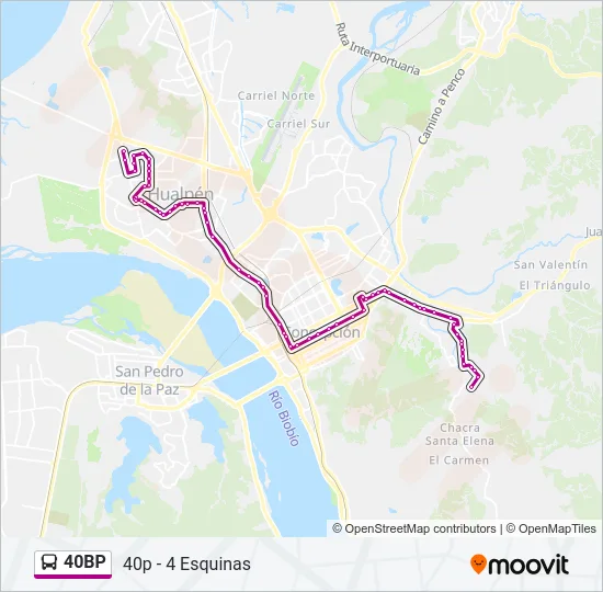 40BP Bus Line Map
