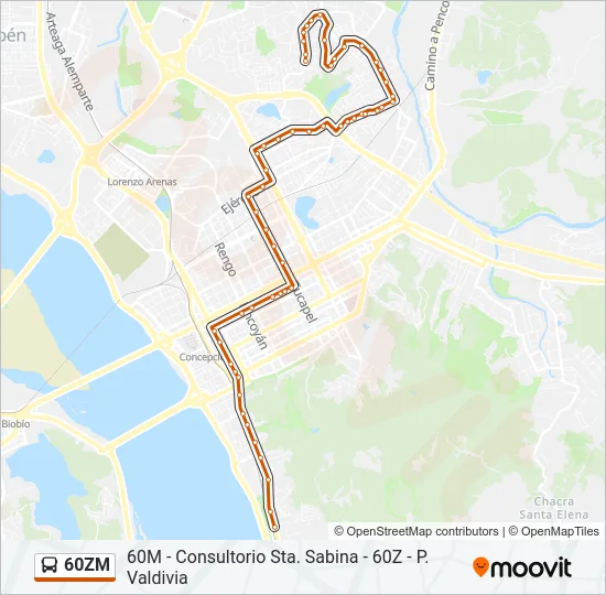 60ZM Bus Line Map