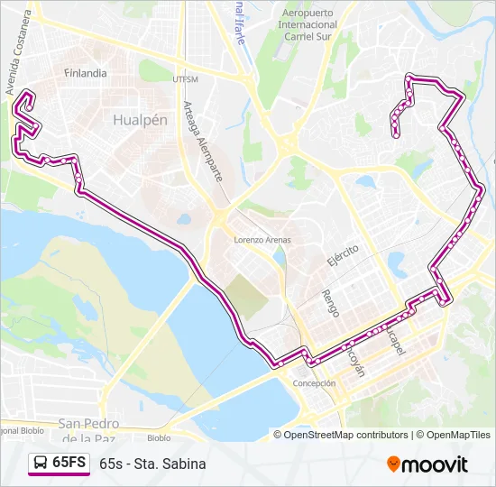 65FS Bus Line Map