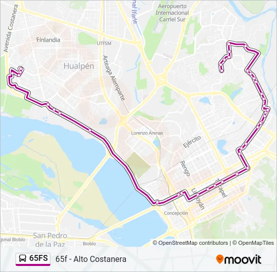 65FS Bus Line Map