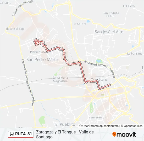 RUTA-81 Bus Line Map