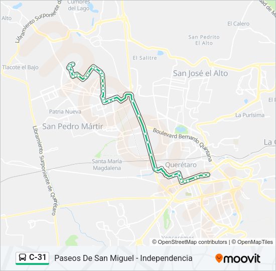 C-31 Bus Line Map