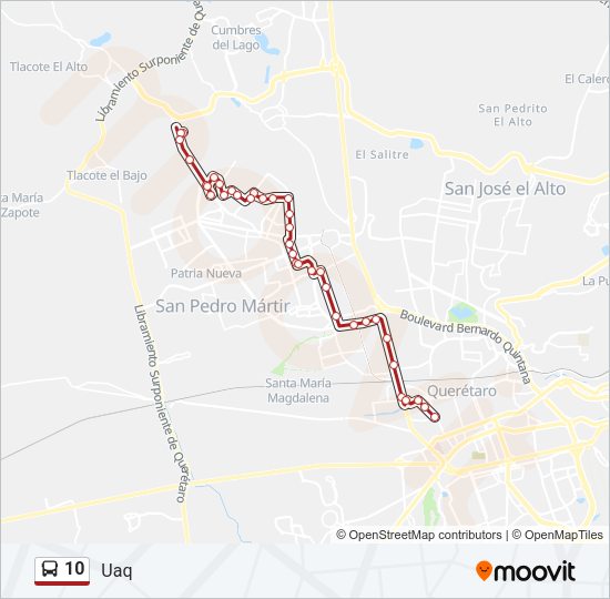 10 Bus Line Map