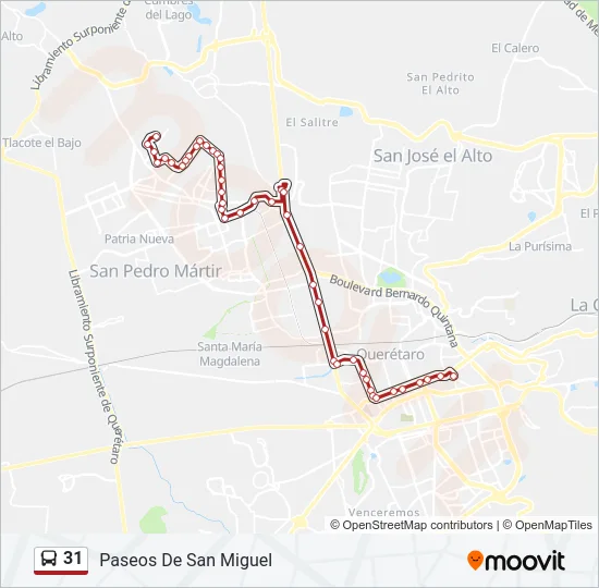 31 Bus Line Map