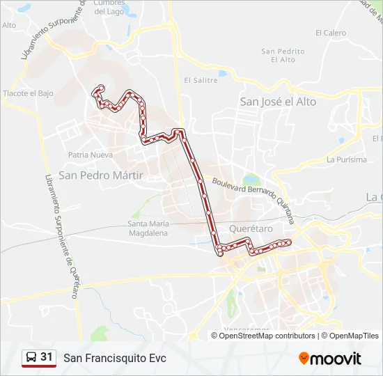 31 Bus Line Map