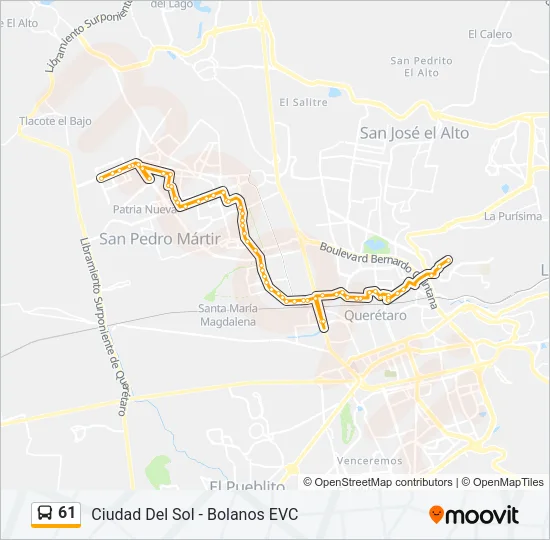 61 Bus Line Map