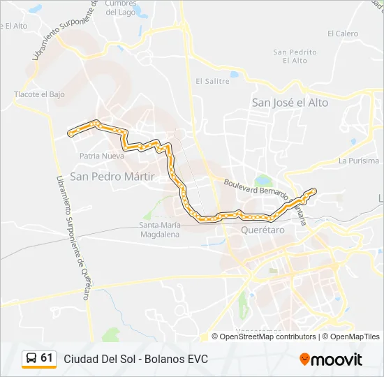 61 Bus Line Map