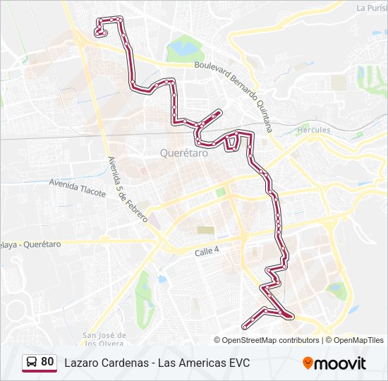 80 Bus Line Map