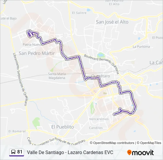 81 Bus Line Map