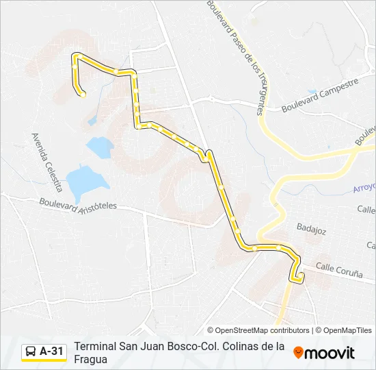 A-31 Bus Line Map
