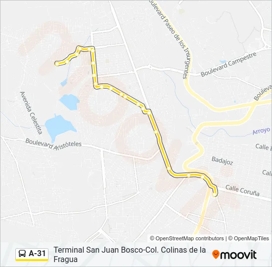 A-31 Bus Line Map