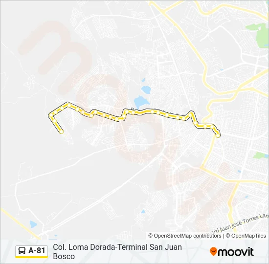 A-81 Bus Line Map