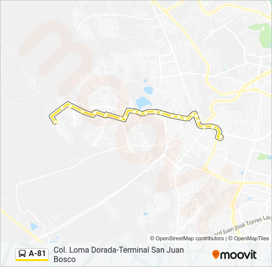 A-81 Bus Line Map