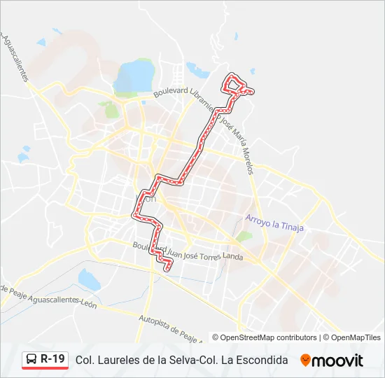 R-19 Bus Line Map